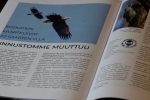 arkipelagia-seura tekee yhteistyötä maininki-lehden kanssa. kuvassa seuran tuottaman artikkeli lehdessä.