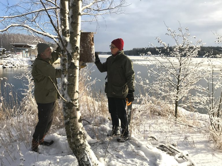 Telkän pöntön eli uutun kiinnittäminen puuhun.