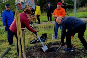 Puunistutus web02 20220927