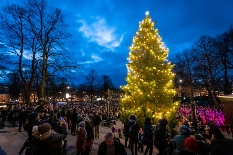 ihmisiä ja iso joulukuusi turun tuomiokirkon edessä.