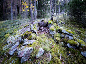 kivikehä metsässä