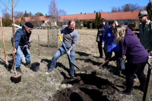 ryhmä ihmisiä istuttamassa puuta maahan