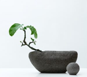 Miia Liesegang teos Together 2025 kuvaaja Kari Kylanpaa 1