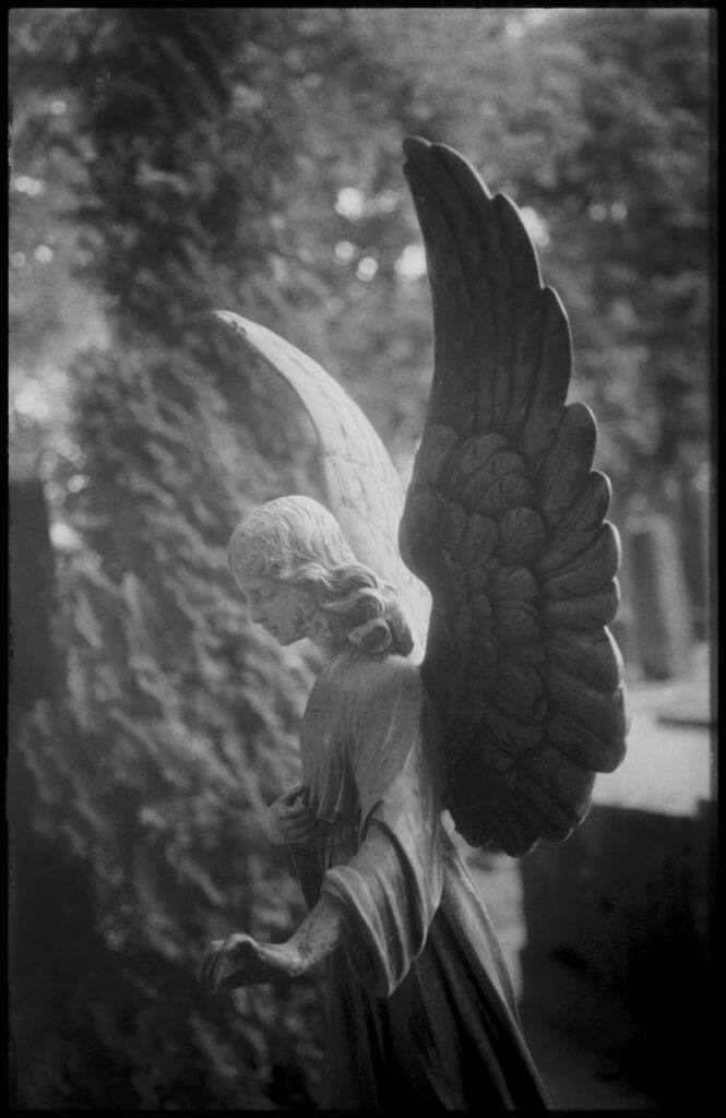 Garden of the Soul image 2 by Martin Karlsson