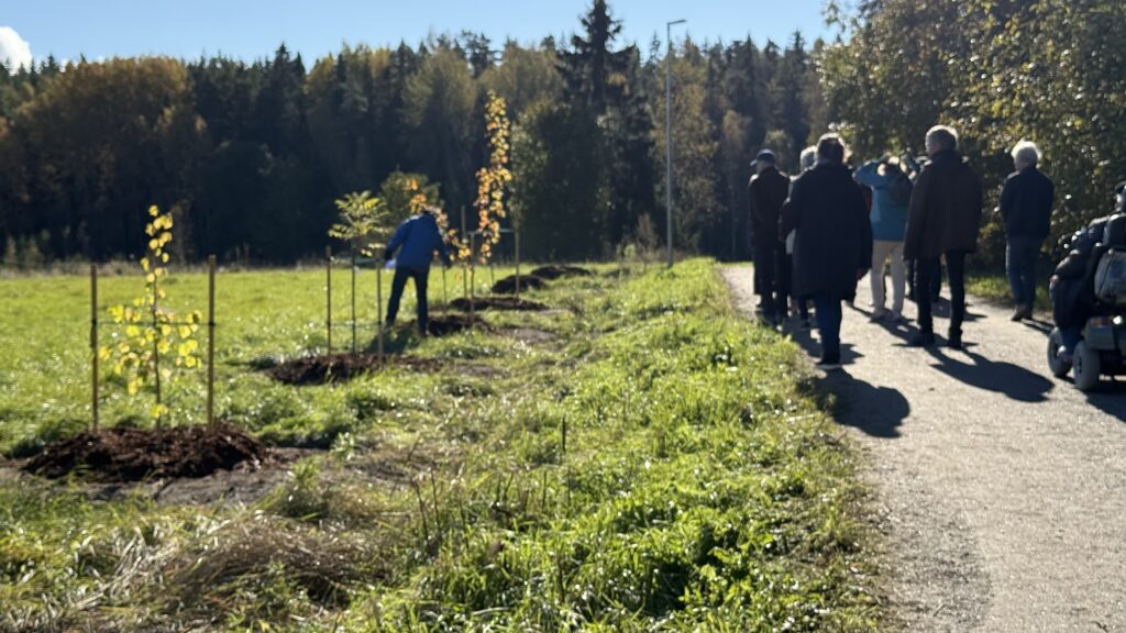 Tutustuminen Hirvensalon Arboretumiin