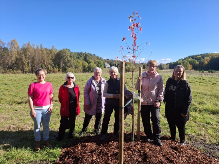 Arboretum 2026 Hirvensalon Martat Kirsti Lehtonen Tarja Pelttari Leena Savunen Marja Pettersson Kaarina Salonen ja Miia Hamalainen